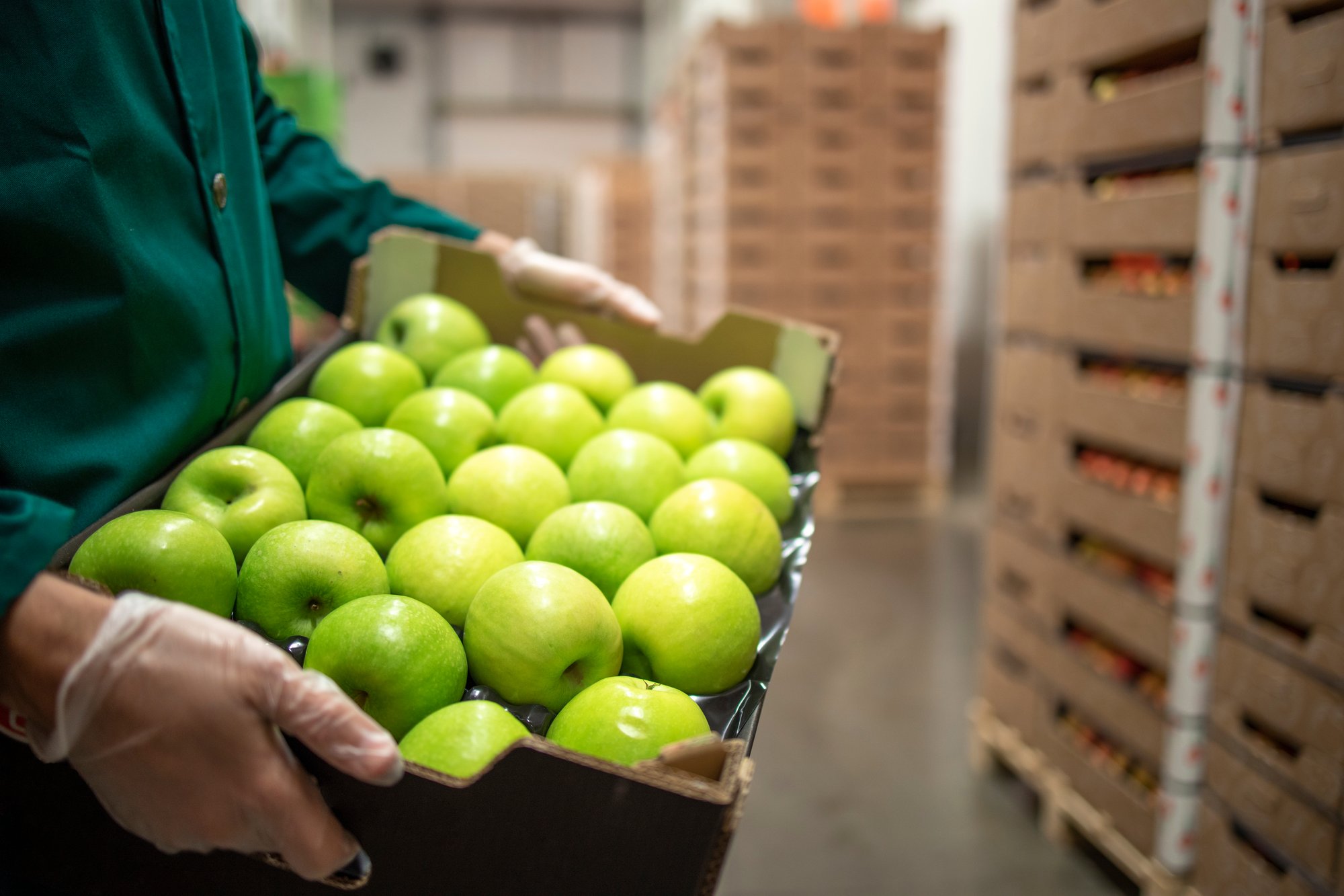 Green Apples in Food Safety Storage